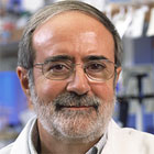 Roberto Docampo, MD, PhD
