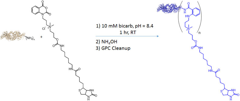 Reaction Scheme