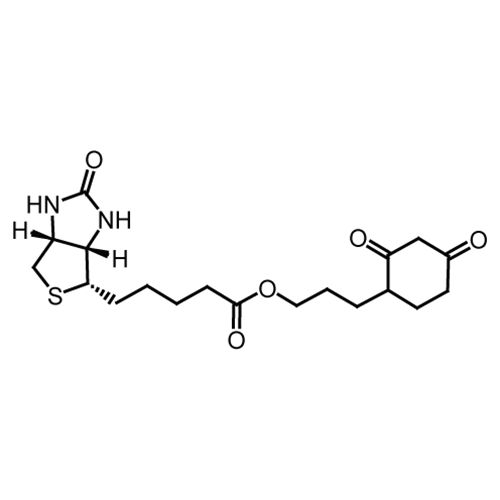 BioSoft - Gel d'Echographie 250g