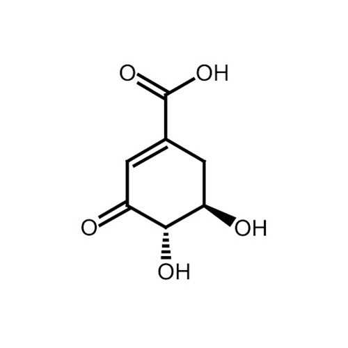 3-Dehydroshikimic Acid (DHS)