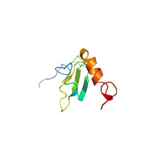 Human Fibronectin III 4,5 N-GST