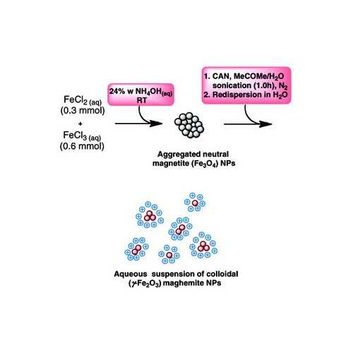 CAN-Fe2O3 Nanoparticles