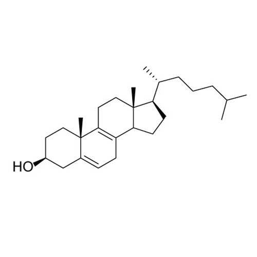 Anti-Delta-Aminolevulinate Synthase 2 (ALAS2) Antibody