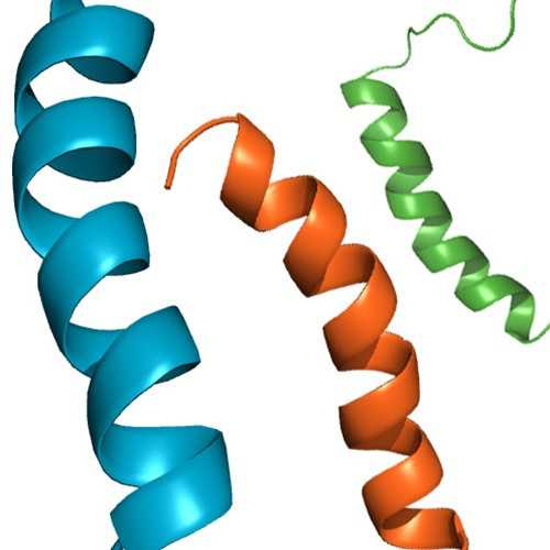 Stable Receptor Related Protein (RAP) LRP1 Inhibitor