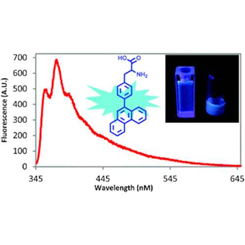 Fluorescent Phenylalanine Analog (Phen-AA)