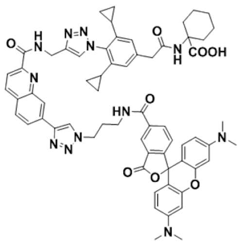 TAMRA-Antabactin ABA Receptor Antagonist (TAMRA-AN