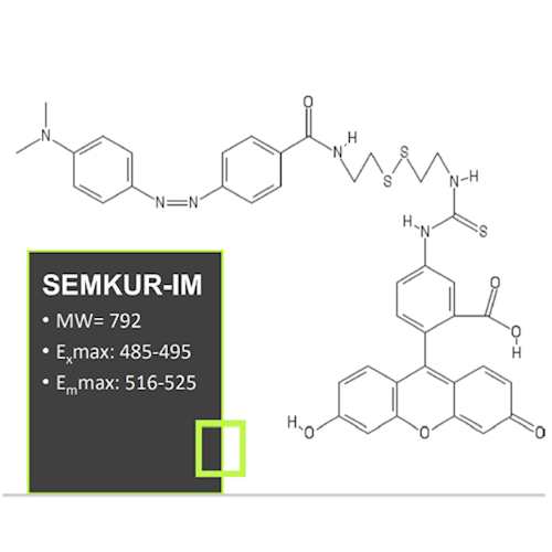 Semkur-IM