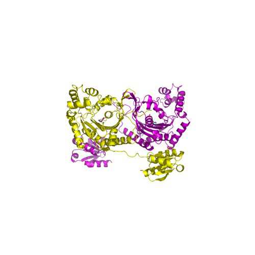 pHRS7-Histidyl-tRNA Synthetase (E.coli)