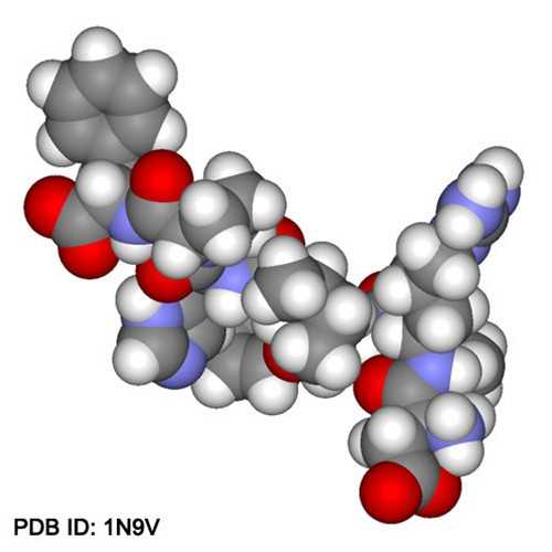 Anti-Angiotensin II (human) Antibody