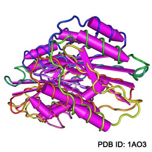 Anti-Von Willebrand Factor [3E2] Antibody