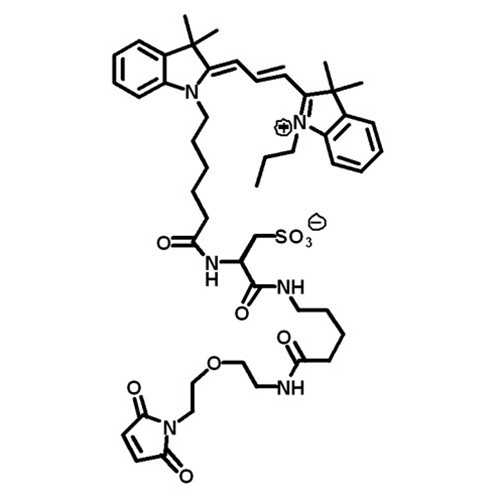 Z-Cy3 Maleimide