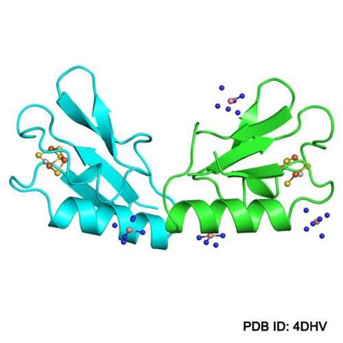 Ferredoxin [4Fe-4S]