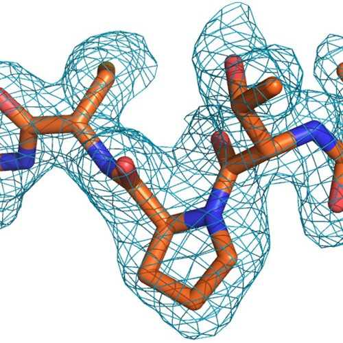 13C,15N-Murine Myelin Basic Protein, S72-S107, Immuno-Dominant Epitope (MBP-13C,15N-a2-peptide)