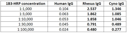 1B3 Species Specificity