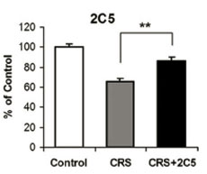 2C5 Figure