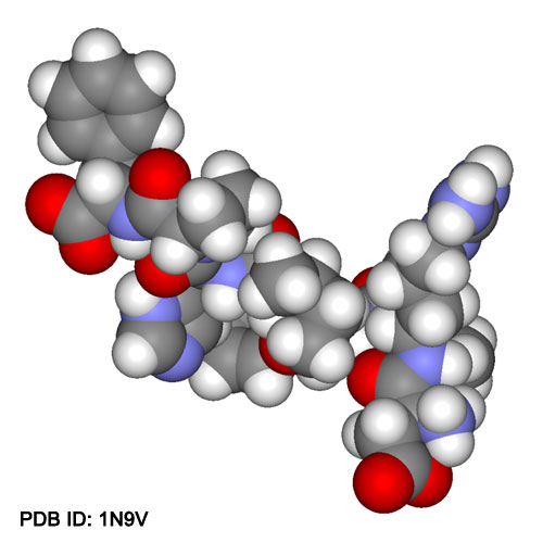 Angiotensin II