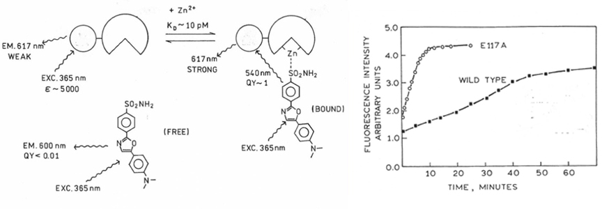 E117A_Data