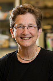 Anne B. Mason, PhD