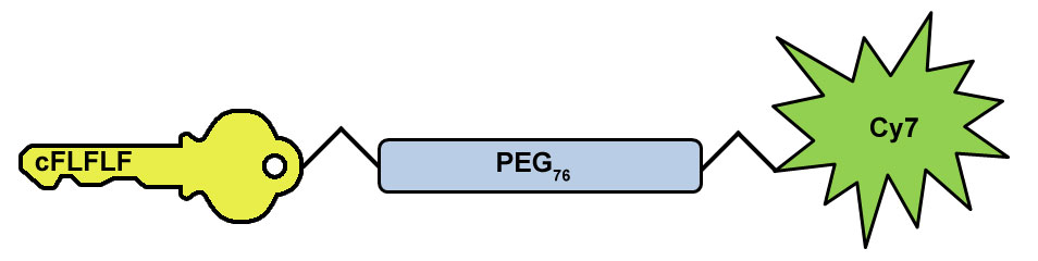 Diagram of Neutrophil-Specific, NIR Imaging Agent