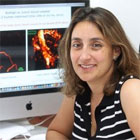 Ronit Satchi-Fainaro, PhD