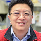 Jihong Bai, PhD