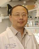 Xiaoping Du, MD, PhD