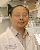 Xiaoping Du, MD, PhD